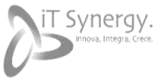 It Synergy